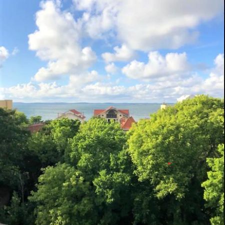 Appartement Vue Sur Baie Et Ocean, 100 M De La Plage Et Du Centre Par Chemin Prive Arcachon Exterior foto